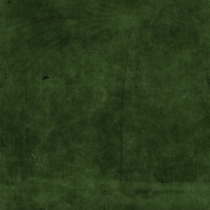 ModernFine Grain Leather