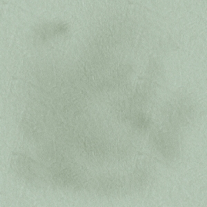 ModernFine Grain Leather