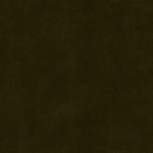 ModernFine Grain Leather