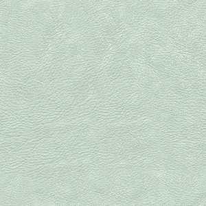 ModernFine Grain Leather