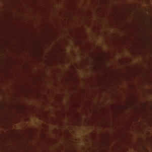 ModernFine Grain Leather