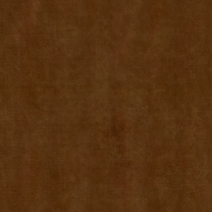 ModernFine Grain Leather
