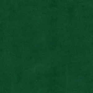 ModernFine Grain Leather