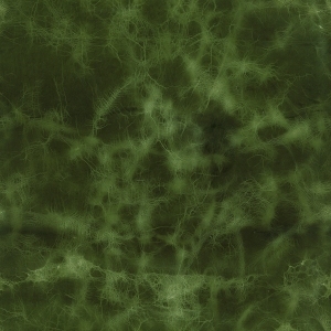 ModernFine Grain Leather