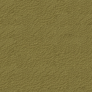 ModernFine Grain Leather