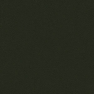 ModernFine Grain Leather