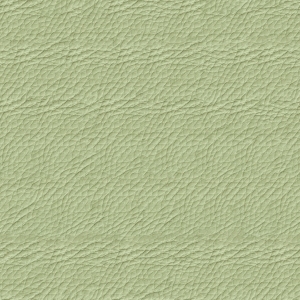 ModernFine Grain Leather