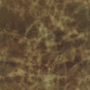 ModernFine Grain Leather