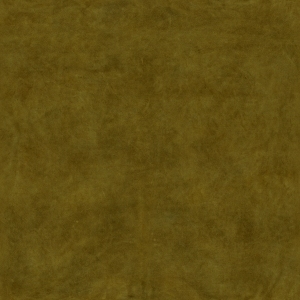 ModernFine Grain Leather