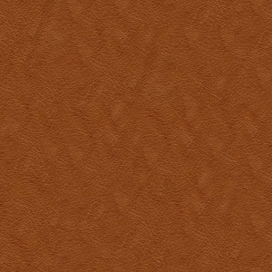 ModernFine Grain Leather