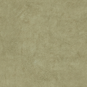 ModernFine Grain Leather