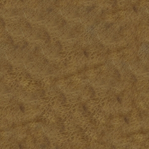 ModernFine Grain Leather