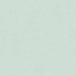 ModernFine Grain Leather