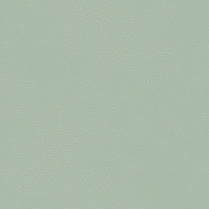 ModernFine Grain Leather