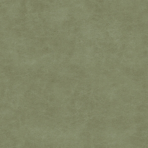 ModernFine Grain Leather