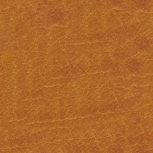 ModernFine Grain Leather