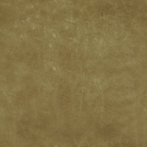 ModernFine Grain Leather