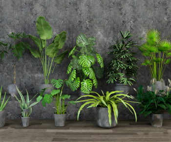 Modern Potted Green Plant-ID:713083986