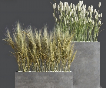 Modern Flower Bed, Flower Bowl, Flower Box-ID:589052923