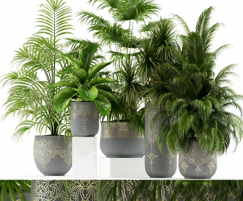 Modern Ground Green Plant Potted Plants-ID:655472993