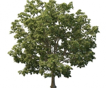 Modern Tree-ID:313935046