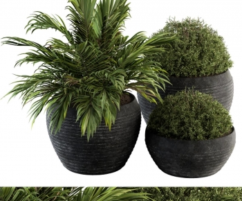 Modern Ground Green Plant Potted Plants-ID:124361994