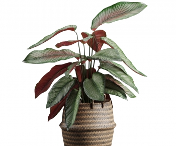 Modern Potted Green Plant-ID:682353023