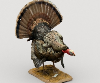 Modern Decorative Set-ID:645653966