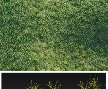 Modern The Grass-ID:922861128