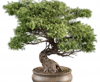 New Chinese Style Bonsai-ID:187696933