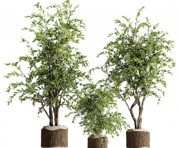 现代落地绿植盆栽组合-ID:988833905