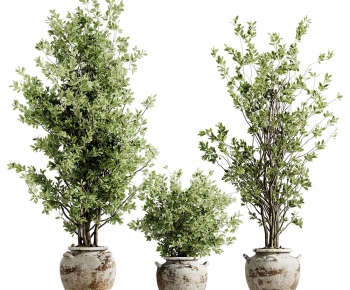 现代落地绿植盆栽组合-ID:814865114