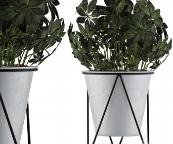 Modern Ground Green Plant Potted Plants-ID:319349874