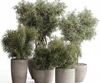 Modern Ground Green Plant Potted Plants-ID:490998034