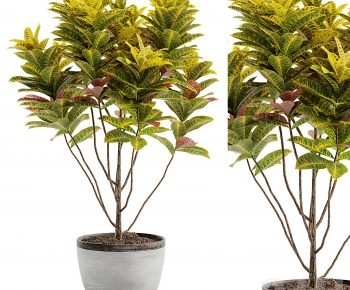 Modern Ground Green Plant Potted Plants-ID:379983909