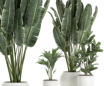 Modern Ground Green Plant Potted Plants-ID:907335046