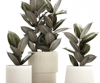 Modern Potted Green Plant-ID:313929089