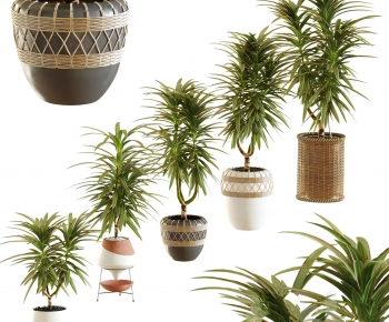 Modern Ground Green Plant Potted Plants-ID:726897959