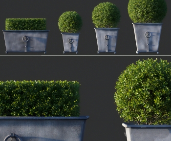 Modern Flower Bed, Flower Bowl, Flower Box-ID:190529113