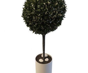 Modern Ground Green Plant Potted Plants-ID:694000011