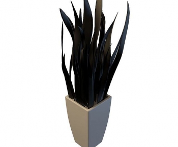Modern Potted Green Plant-ID:174179087