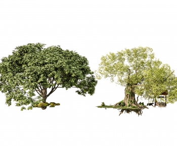 Modern Tree-ID:377022981