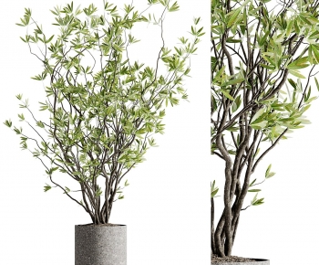 现代落地绿植盆栽-ID:405174976