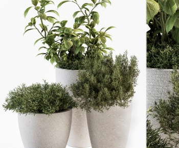 Modern Ground Green Plant Potted Plants-ID:624980978