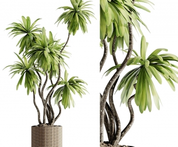 现代落地绿植盆栽-ID:237469915