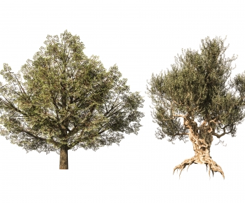 Modern Tree-ID:142951973