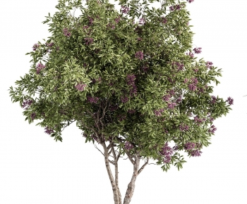 Modern Tree-ID:834335097