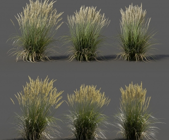 Modern The Grass-ID:651813038