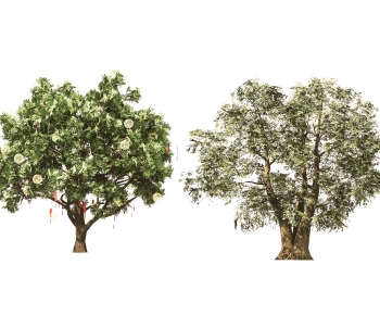 Modern Tree-ID:371170086