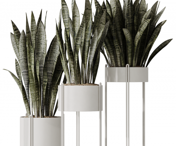 Modern Potted Green Plant-ID:965607889